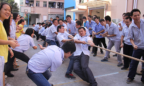 Team-Building Activities