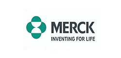 Trusted by Industry Leaders We partner with Fortune 500 companies and global market pioneers — and w